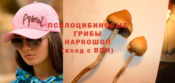 альфа пвп Володарск