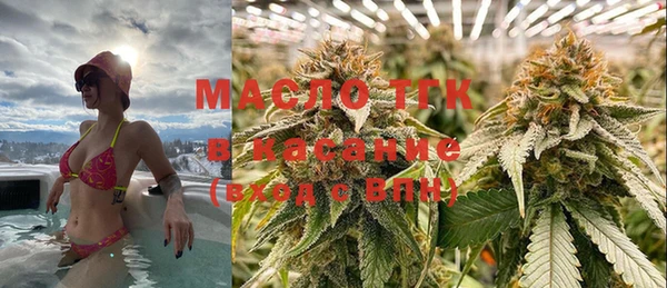 стафф Вязьма