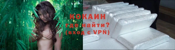 меф Вяземский