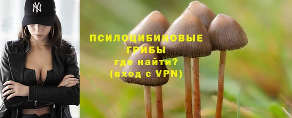 молекула духа Верея