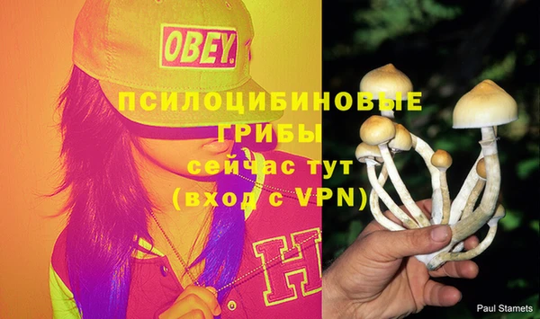 меф Вяземский