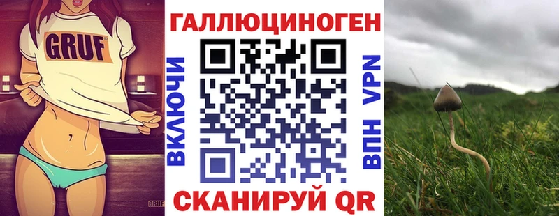 Псилоцибиновые грибы мухоморы Купить закладки Красноперекопск